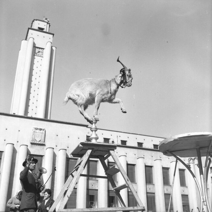 Gratte-Ciel en photos, TNP – Théâtre national populaire, Villeurbanne