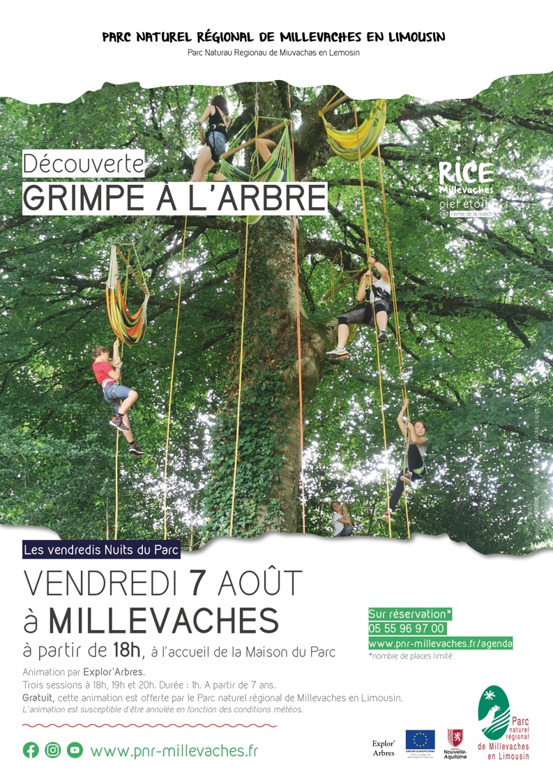 Grimpe d’arbre Millevaches