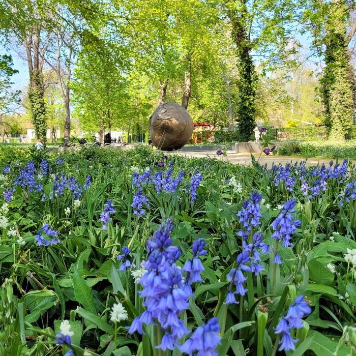 Guide des herbes « Mauvaises herbes ou délicatesse », Stadtpark Aschersleben, Aschersleben