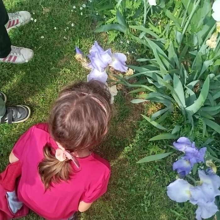 Habiter le temps au Jardin des Ciucioi. Découvrir les stratégies de survie dans le monde végétal Giardino Bortolotti detto dei Ciucioi Lavis