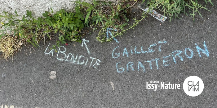 Initiation : Sauvages de ma rue Maison des Épinettes Issy-les-Moulineaux