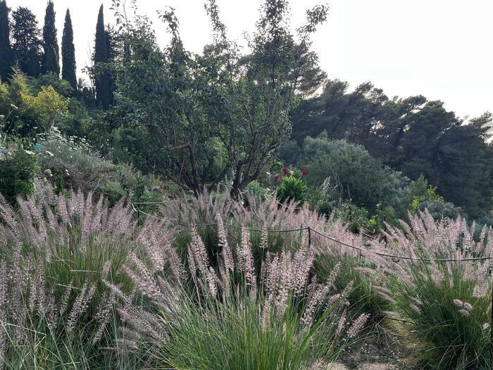 Jardiniers planétaires