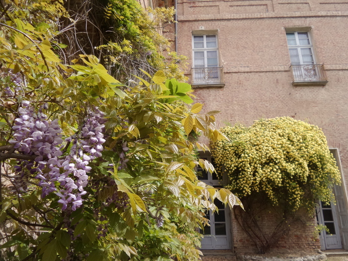 Jardins et nature dans le parc du château d’Agliè, Castello di Agliè, Agliè