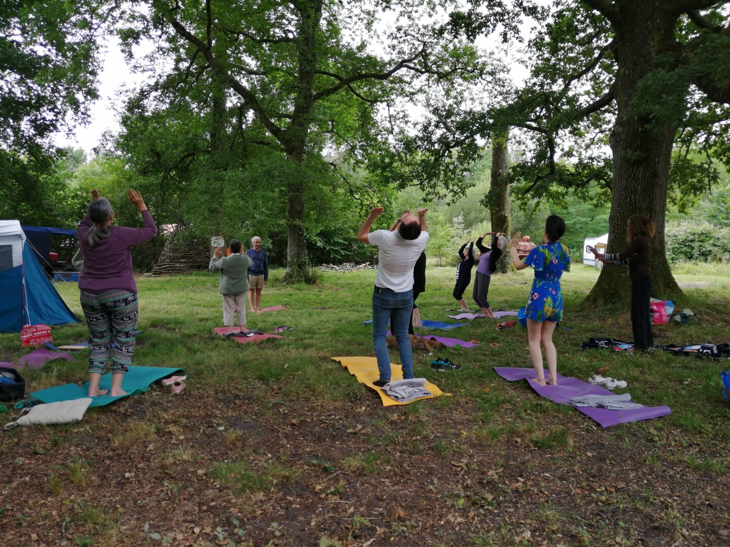 JEÛNE, YOGA ET MARCHE CONSCIENTE Institut Saint-Selve