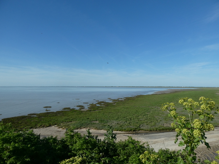 La baie de l'Aiguillon au fil des saisons Pointe Saint Clément