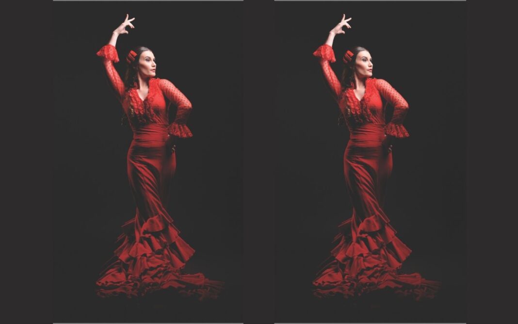 La cecilia tablao Salle de Spectacle La Luna Negra Bayonne