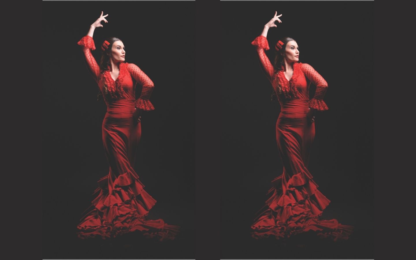 La cecilia tablao Salle de Spectacle La Luna Negra Bayonne