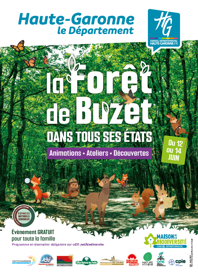 LA FORET DE BUZET DANS TOUS SES ETATS Paulhac