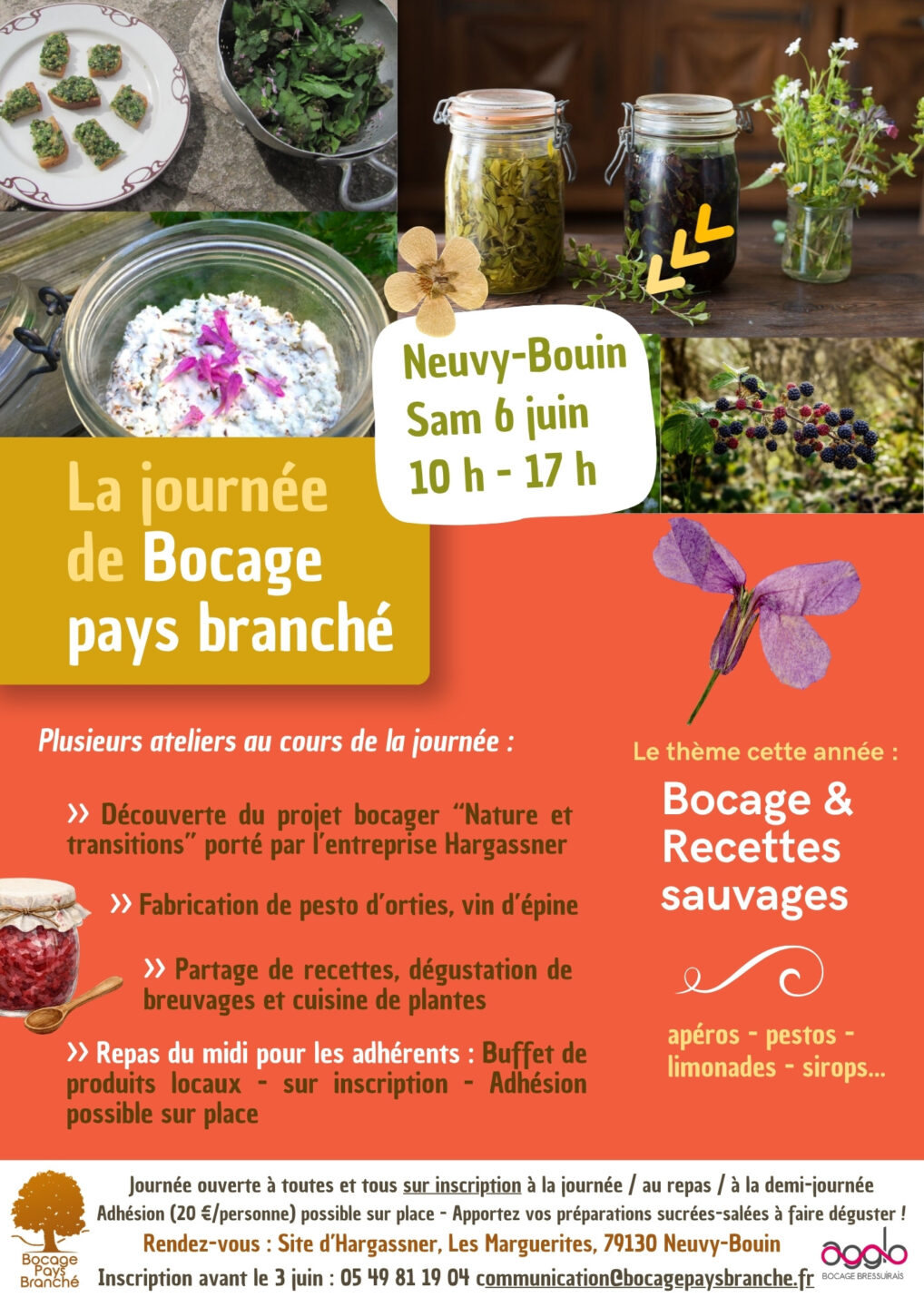 La journée de Bocage pays branché Les Marguerites Neuvy-Bouin 2026-06-06