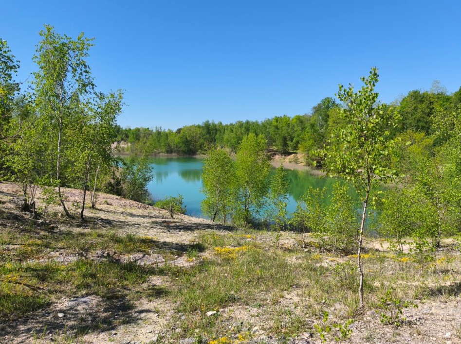 &lsquo;La Nature fête ses 20 ans !&rsquo;, à La Saulsotte  La Saulsotte