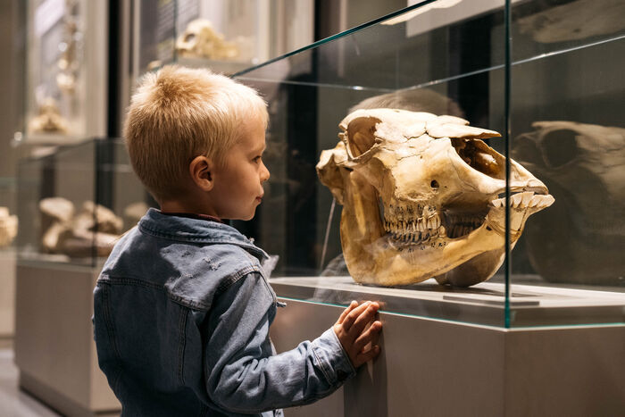 La Sapiens Expérience Préhistomuseum Flémalle