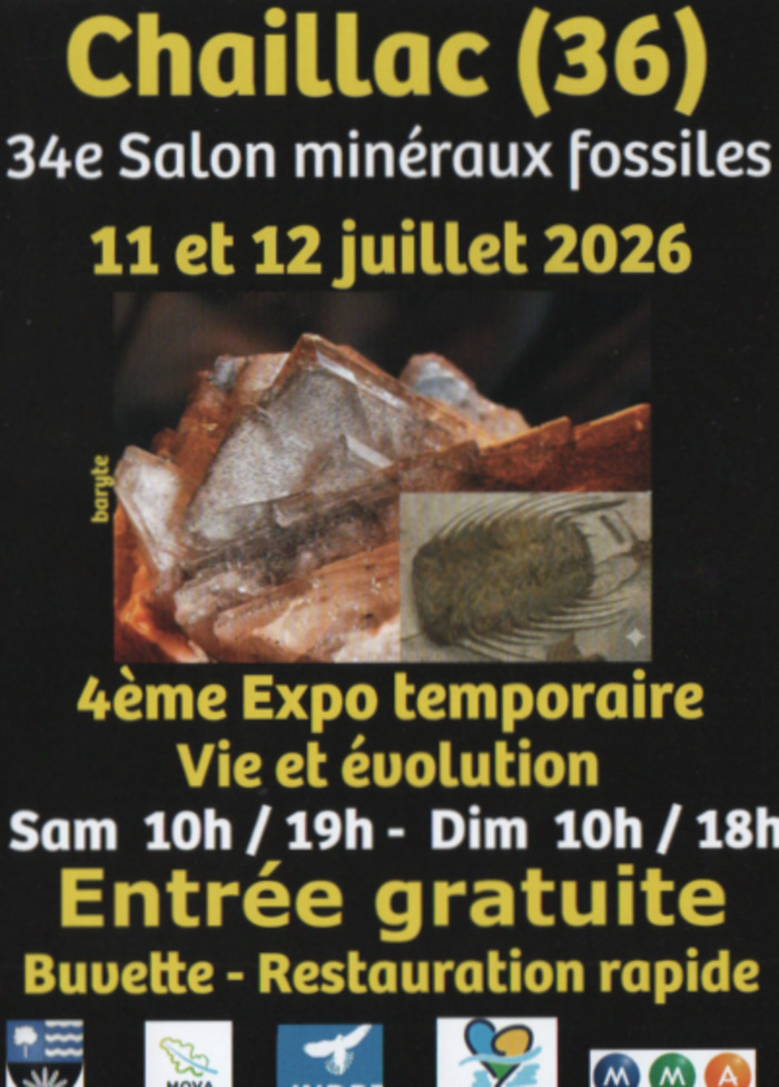 La vie l’évolution jusqu’à la disparition des dinausores, Chaillac 36310 – musée, Avon-les-Roches