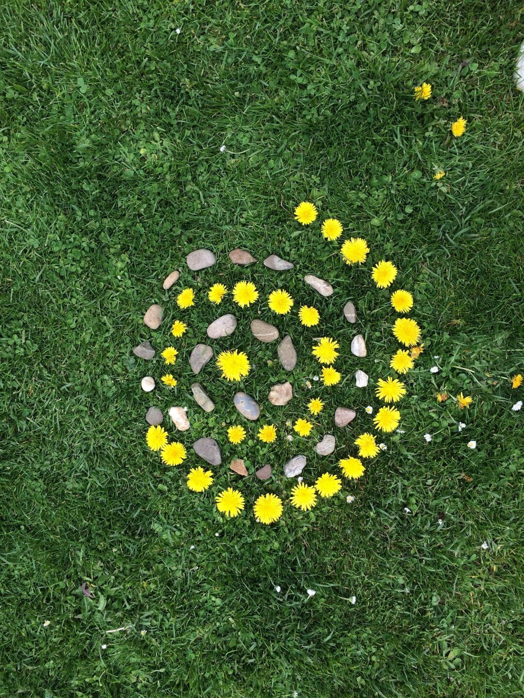 Land'art Ludobus Salle Charles Duffart Lesperon 2026-08-26