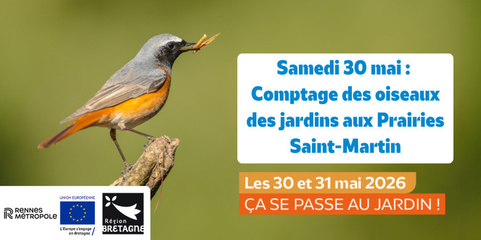 Le comptage des oiseaux des jardins aux Prairies Saint-Martin Prairies Saint-Martin Rennes
