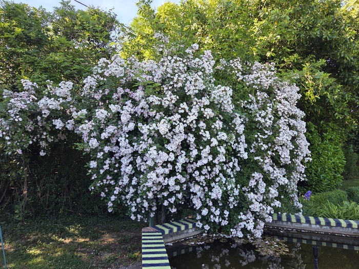 Le Jardin de Paul Vernisse, Le jardin de Paul Vernisse, Chassenard
