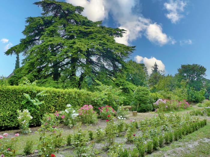 Le Jardin du Carmel