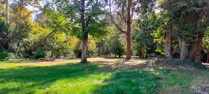 Le monde dans un jardin : visite guidée naturaliste du parc Villa Strozzi Parco Giardino di Villa Strozzi Begozzo a Palidano di Gonzaga Palidano