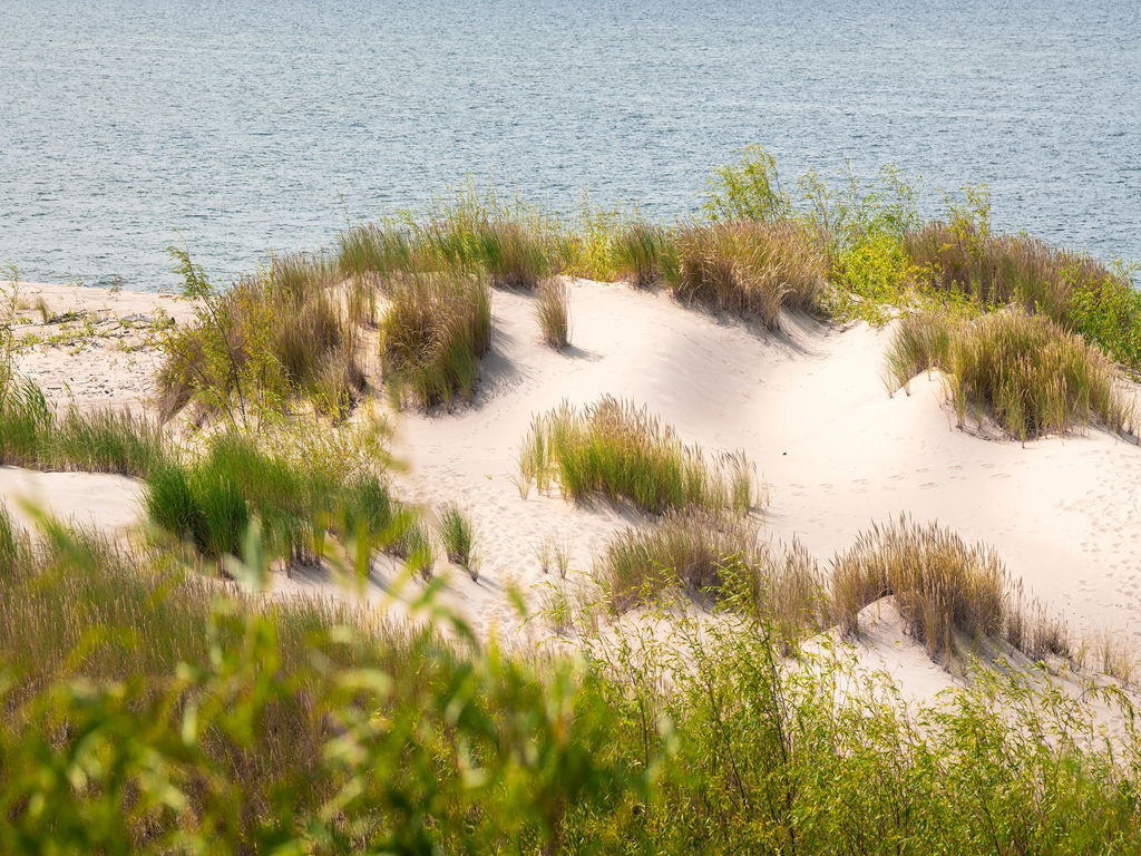 LE MONDE DE LA DUNE Le Barcarès