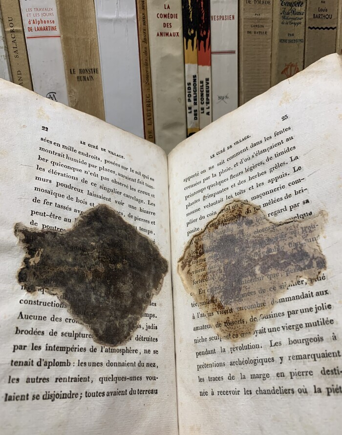 Le Patrimoine ouvre ses coffres : les ennemis de nos réserves : saurez-vous les reconnaitre ? Bibliothèque Mériadeck Bordeaux