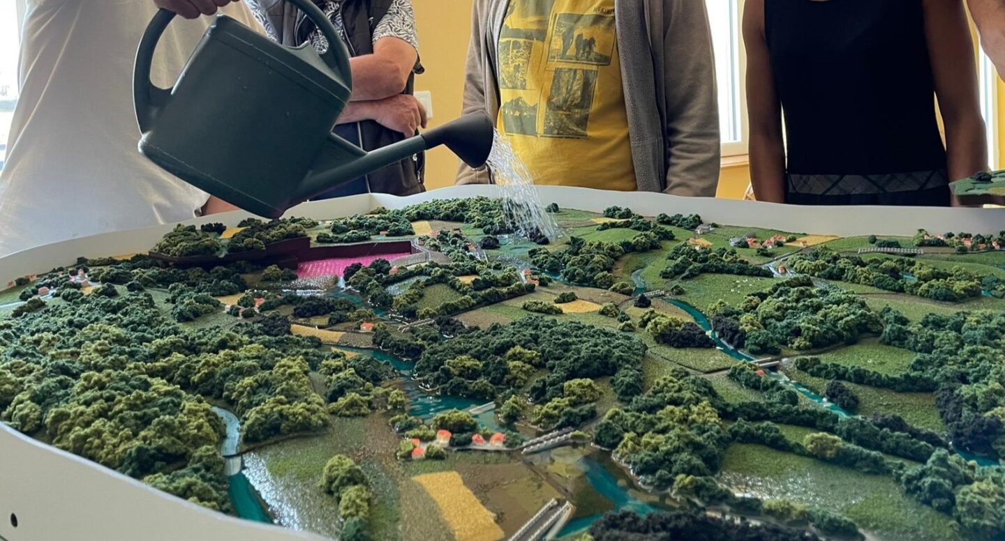 Le rôle des zones humides Maison des associations La Coquille