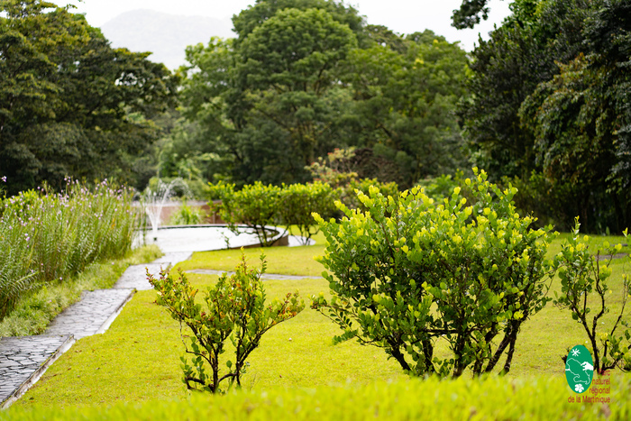 Lecture de Paysage, Domaine d’Emeraude Morne-Rouge, Le Morne-Vert