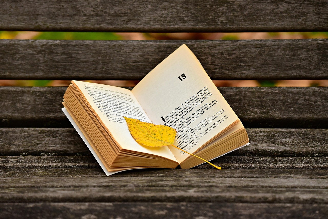 Lecture et rencontre avec Lucile Leloup Librairie Des Livres et Vous Gourdon