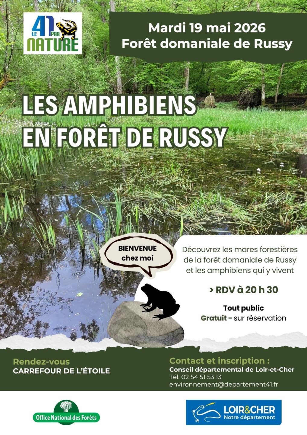 Les amphibiens en Forêt de Russy Saint-Gervais-la-Forêt
