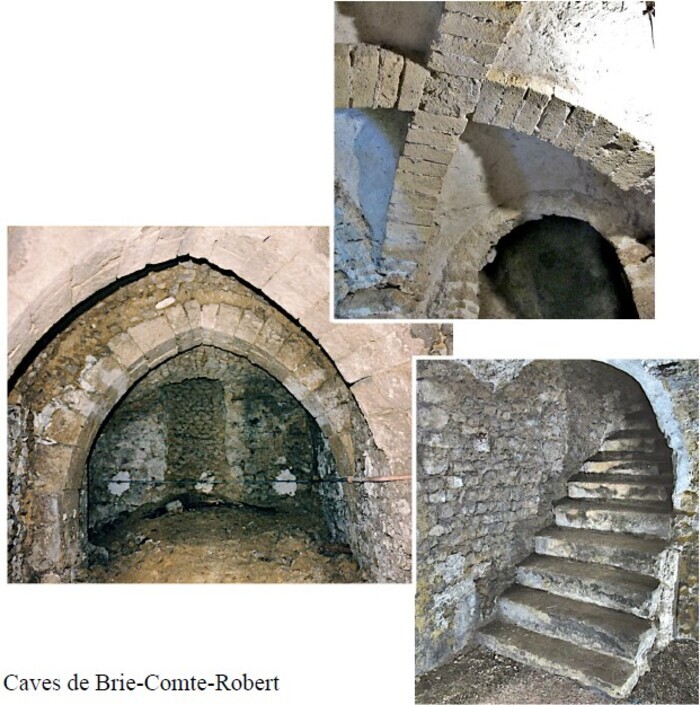 Les caves Briardes nous intéressent ! Parlons-en !, Château de Brie-Comte-Robert – Centre d’interprétation du patrimoine, Brie-Comte-Robert