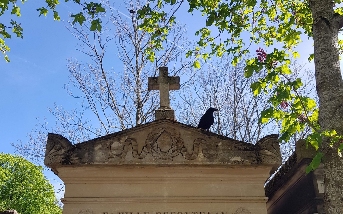 Les familles botaniques au Père-Lachaise Cimetière du Père-Lachaise Paris