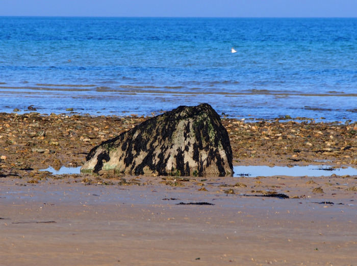 Les « gas », blocs erratiques venus d’ailleurs le long de la côte de Nacre, Maison des curiosités naturelles, Saint-Aubin-sur-Mer