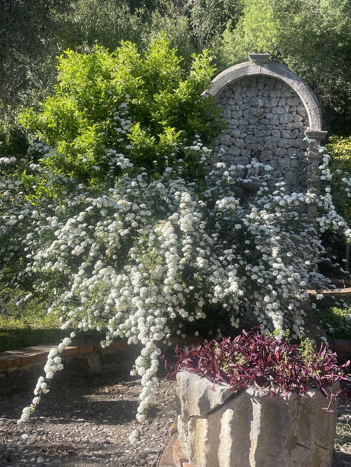 Les jardins Victoria et le territoire, Giardini Victoria, Taormine