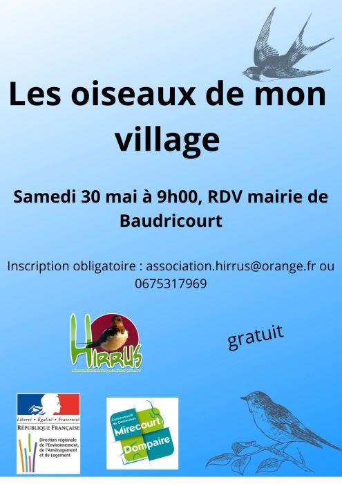 Les oiseaux de mon village 50 rue Victor Hugo Baudricourt 2026-05-30