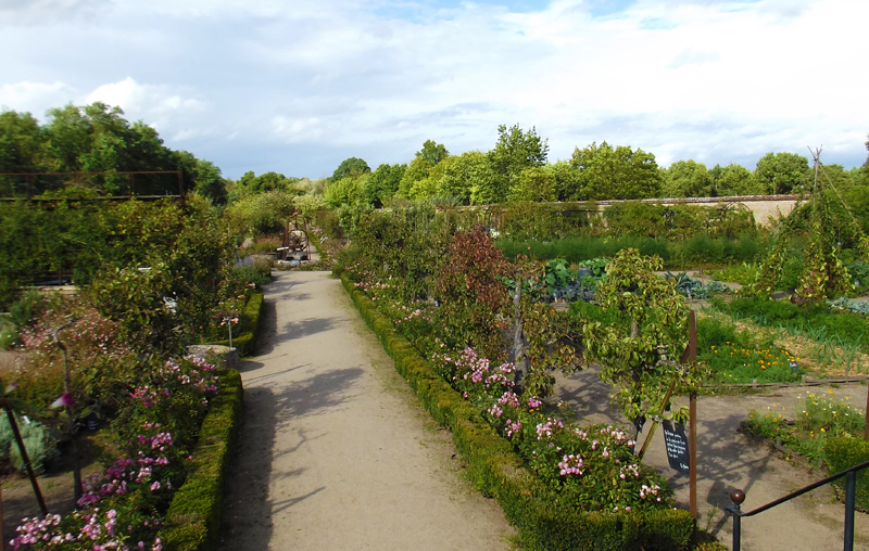 Les Rendez-vous aux jardins au Château de La Bussière Rue du Château La Bussière 2026-06-06