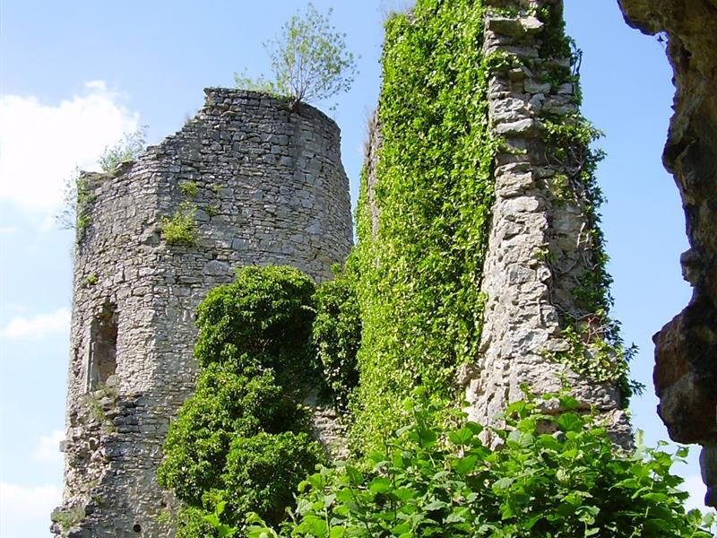 Les Rendez-vous Nature Nature remarquable sur les pas des Comtes rue du cimetière Frauenberg