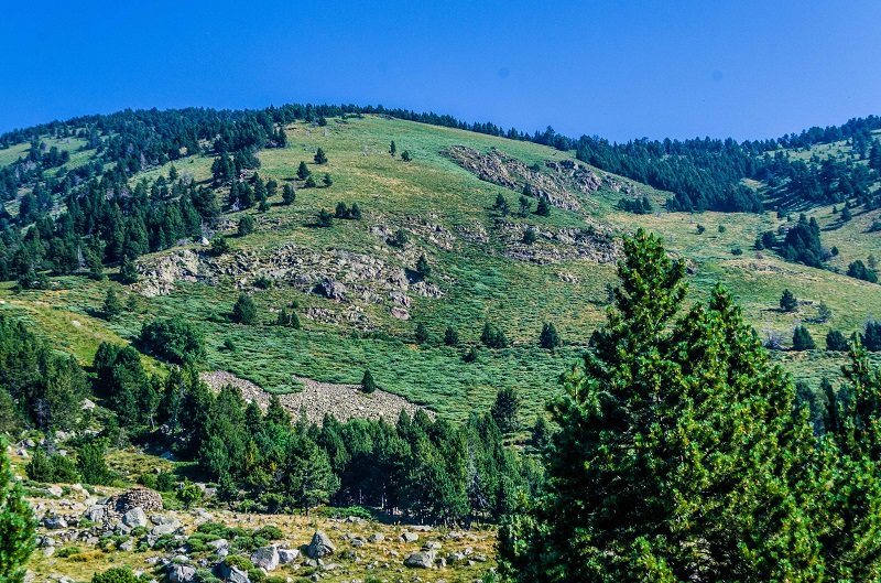 LES SENTIERS DE CLAIRE LE CAMI RAMADER DANS LA VALLEE DE NOHEDES Nohèdes