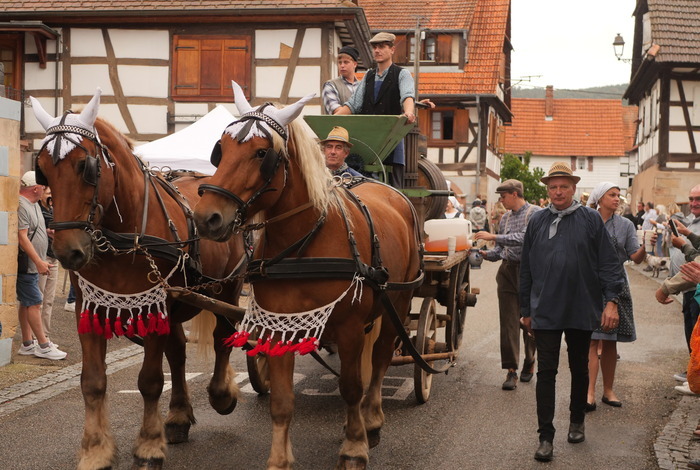 Les Vendanges d'Antan Village de Cleebourg Cleebourg