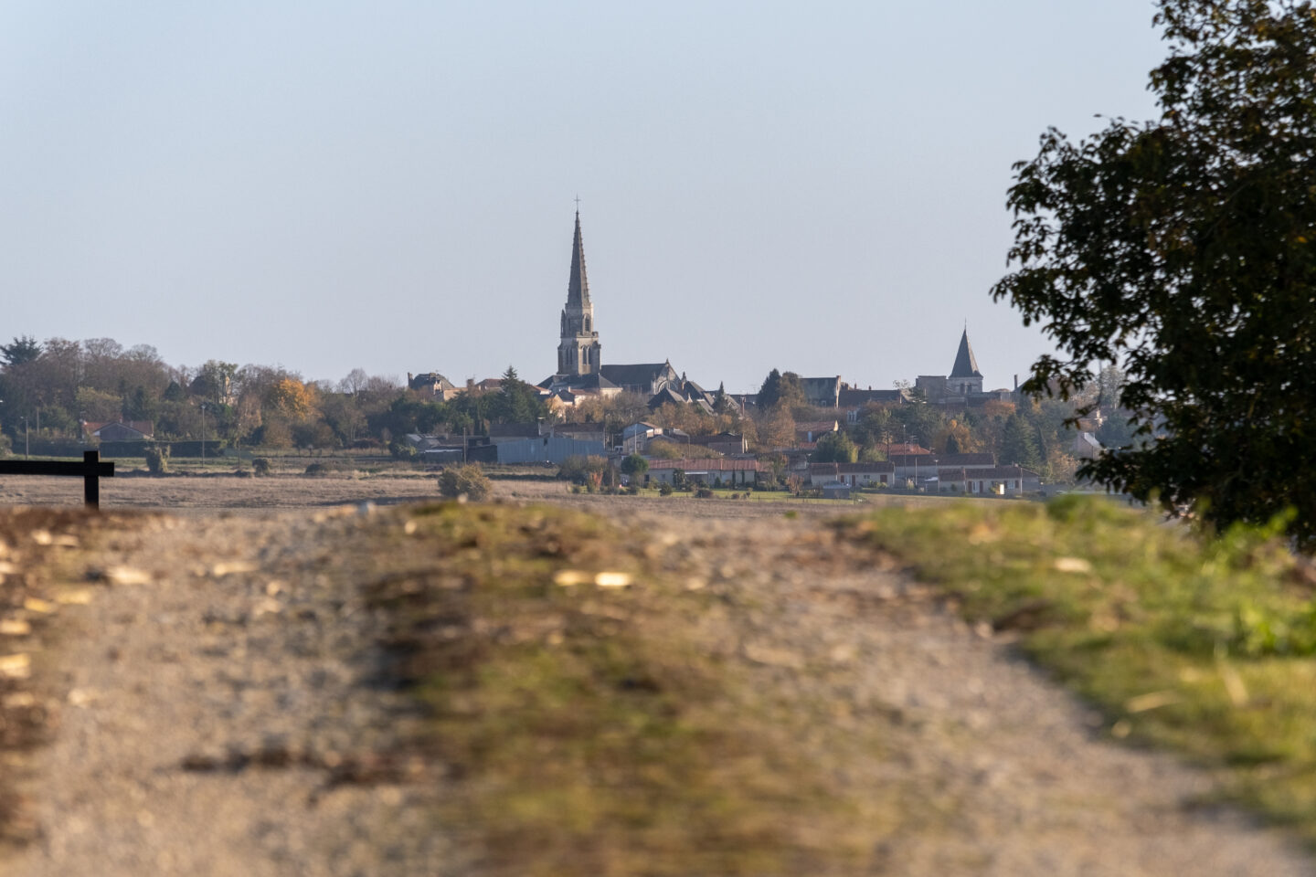 Les visites d&rsquo;Anthony randonnée à Seuilly  Mirebeau