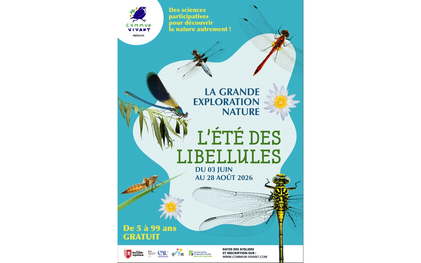 L’été des libellules Lac des carolins Lescar