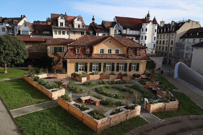 Magie des fleurs dans le jardin du monastère de Saint-Gall Klostergarten St. Gallen Sankt Gallen