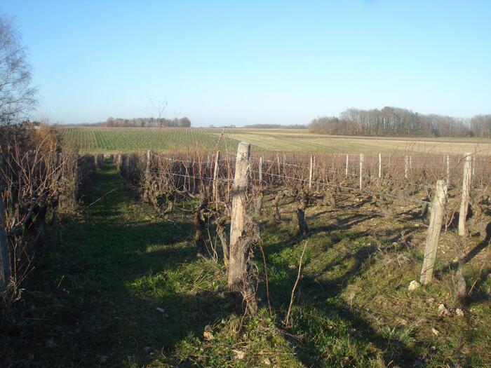 Marché du CIVAM – Ferme du Héron – Domaine des Maisonnettes, Ferme du Héron, Villeneuve-d’Ascq