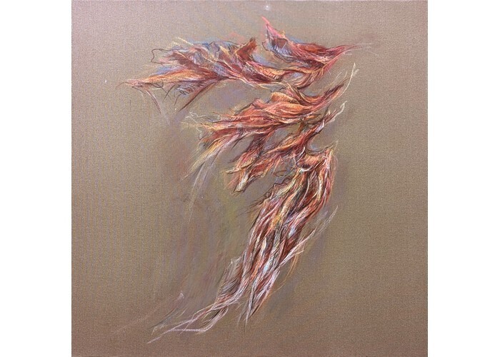 Mare Fecit – Exposition de Laurent Noël Passage Sainte-Croix Nantes