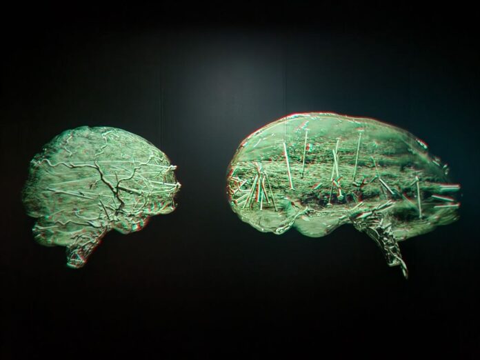 monde invisible expo