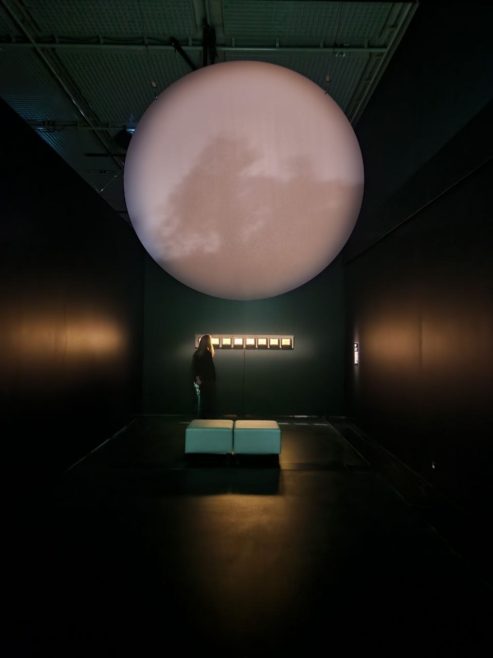 Vue de l’exposition Le monde invisible de Fred Murie et Flavien Théry aux Champs Libres