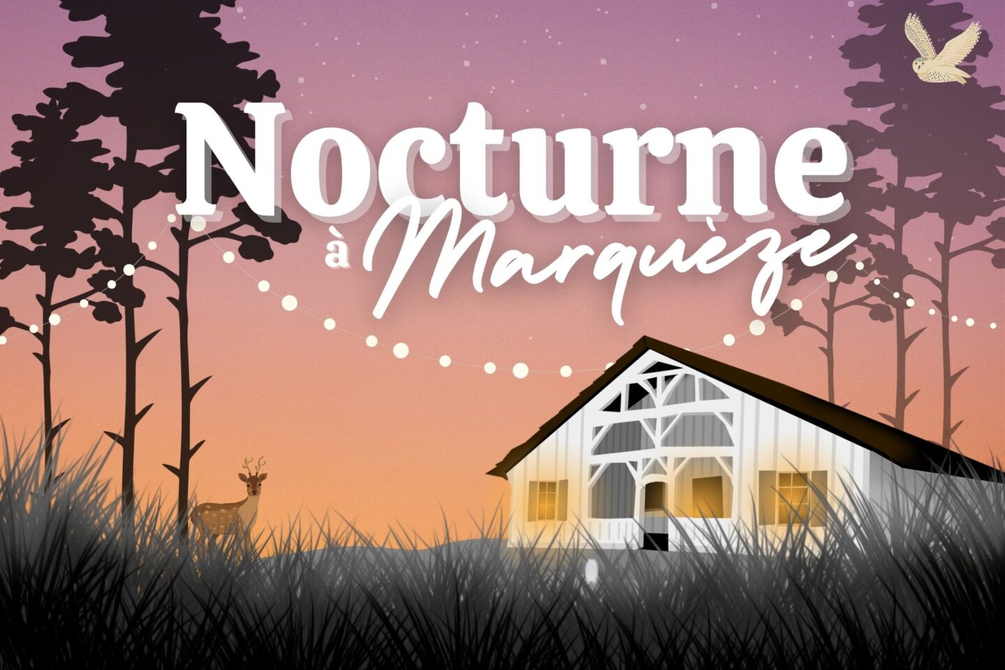 Nocturne à Marquèze Écomusée de Marquèze Sabres