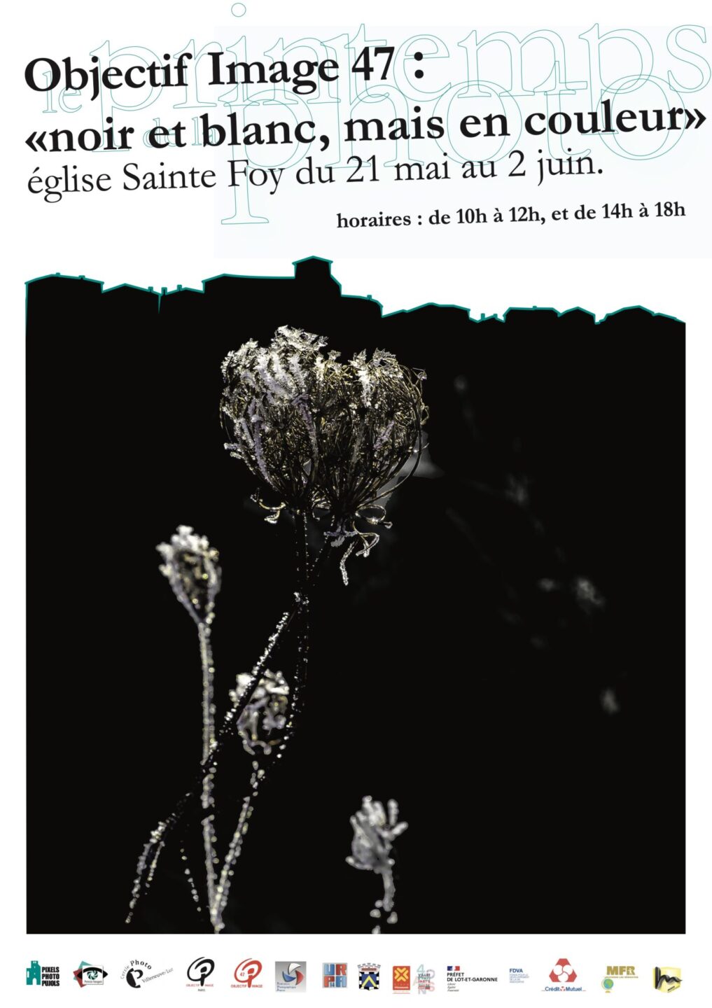 Noir et Blanc, mais en couleur  Pujols