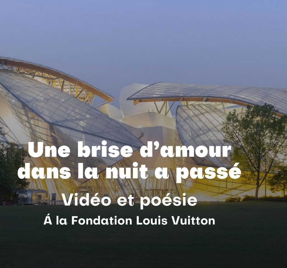 Fondation Louis Vuitton pendant Nuit Blanche Paris