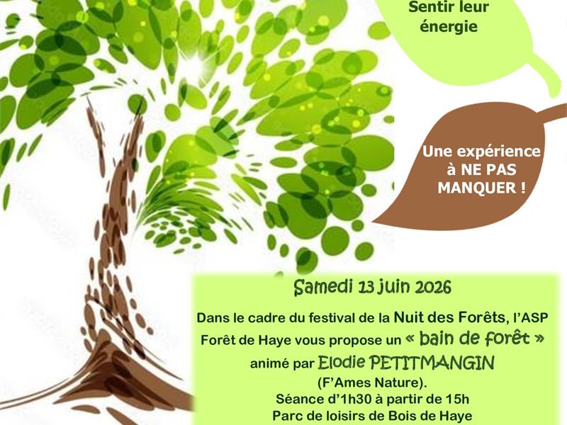 Nuits des forêts Bain de forêt Forêt de Haye Bois-de-Haye 2026-06-13