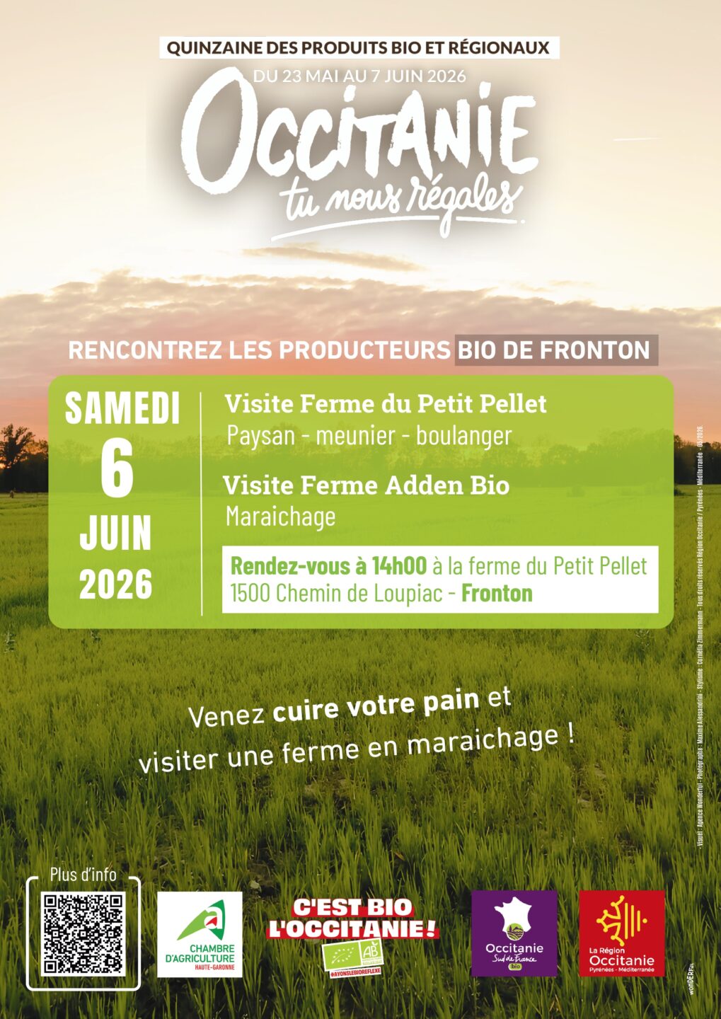 OCCITANIE TU NOUS REGALES  Fronton