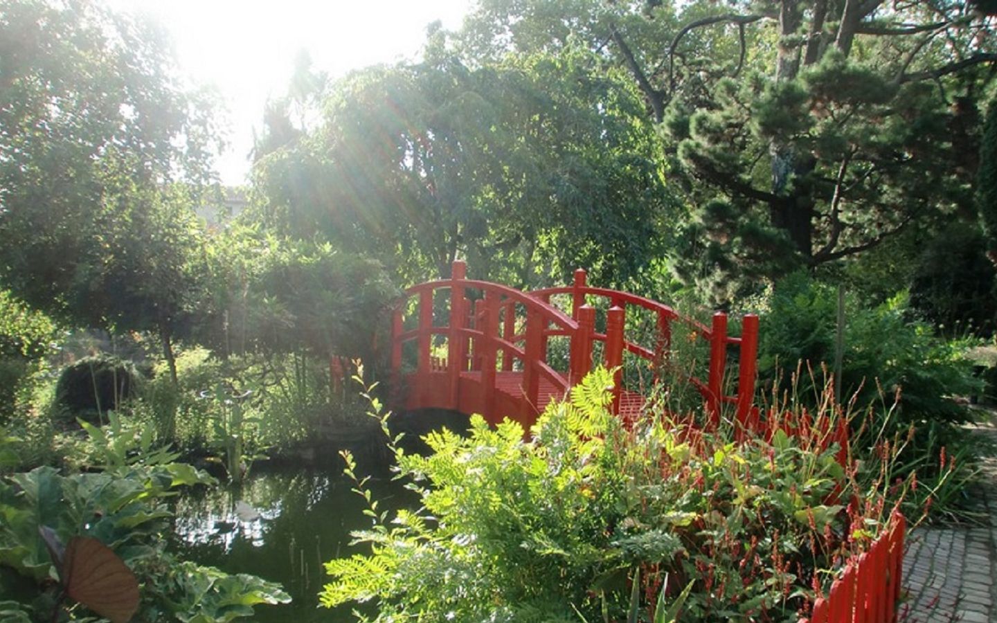 Pause Patrimoine les jardins acte 2 le jardin botanique Jardin botanique Bayonne
