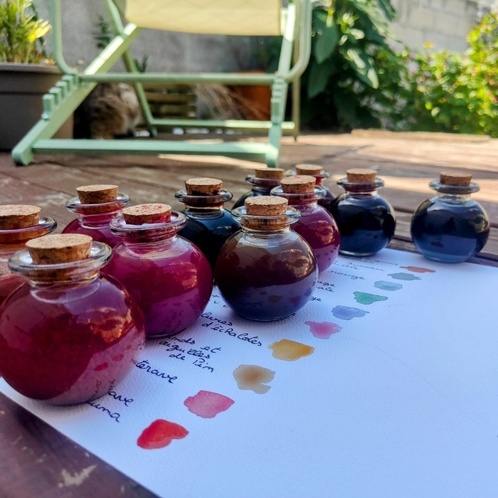 Pigments du vivant : s’initier aux aquarelles végétales avec Nos Deux Mains Maison écocitoyenne Bordeaux